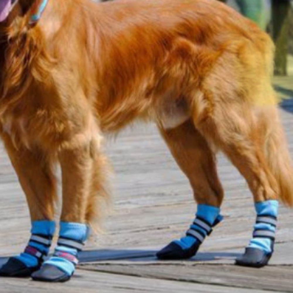 Dog booties